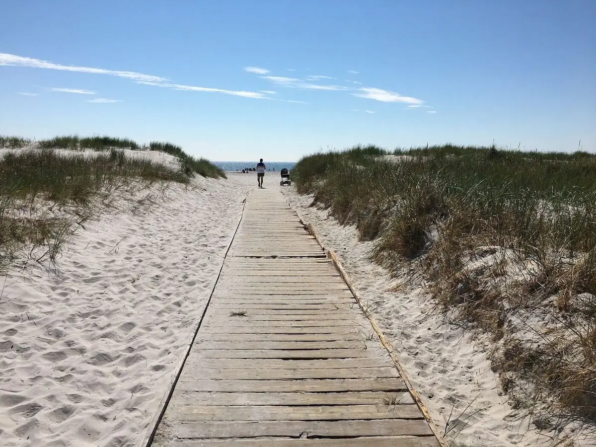 Træbro gennem klitterne til stranden