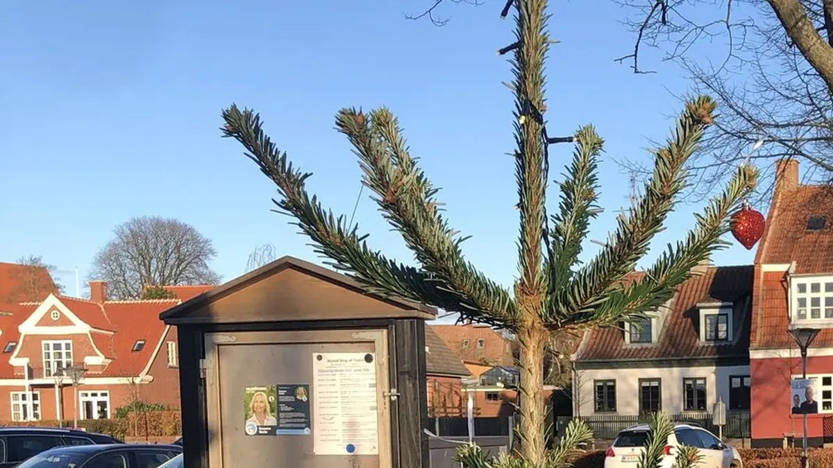 Tanne mit roten Weihnachtsherzen, dänischer Adventsschmuck